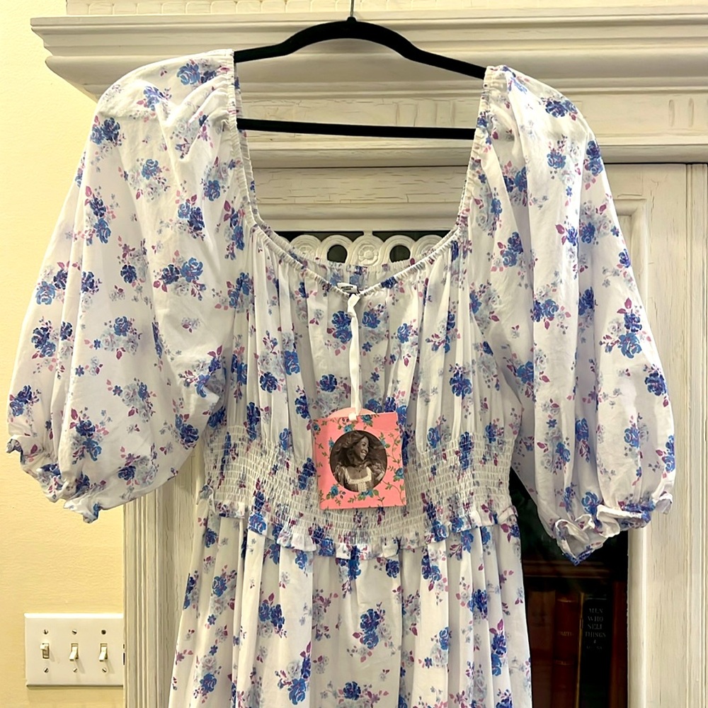 LoveShack Fancy Target Blue Floral Maxi dress. NWT.